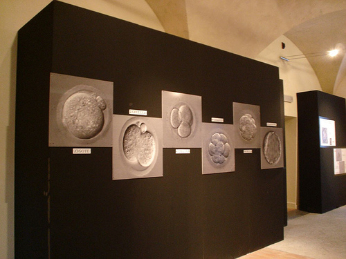 Pavia divulga la scienza 4 1362615984 e99dbab4d5