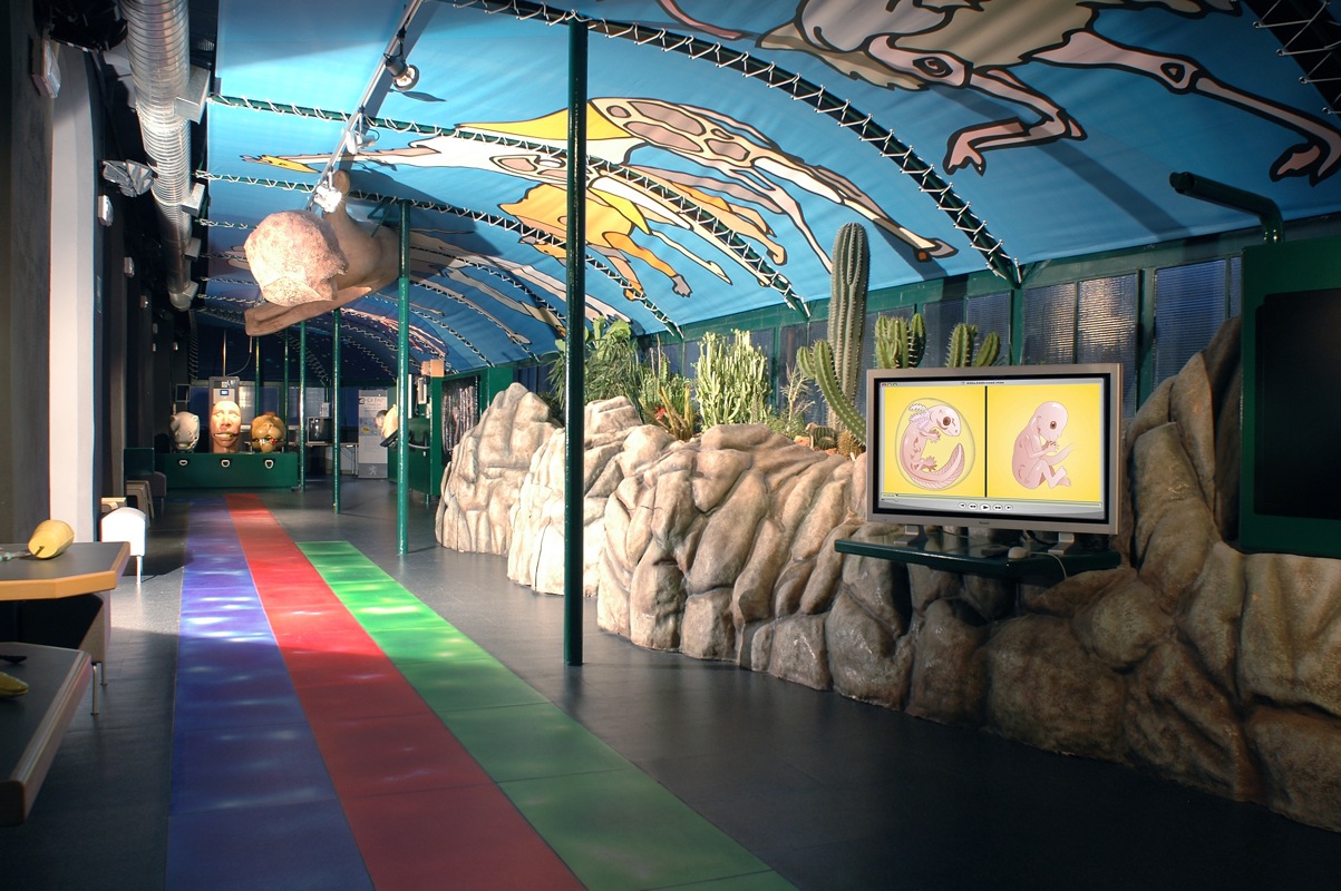 La vita al museo 6 biolab