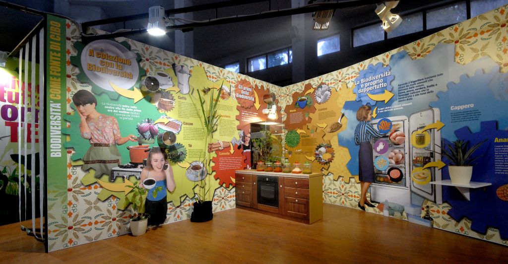 Immagine dsc 2937%20alb%20CIBO