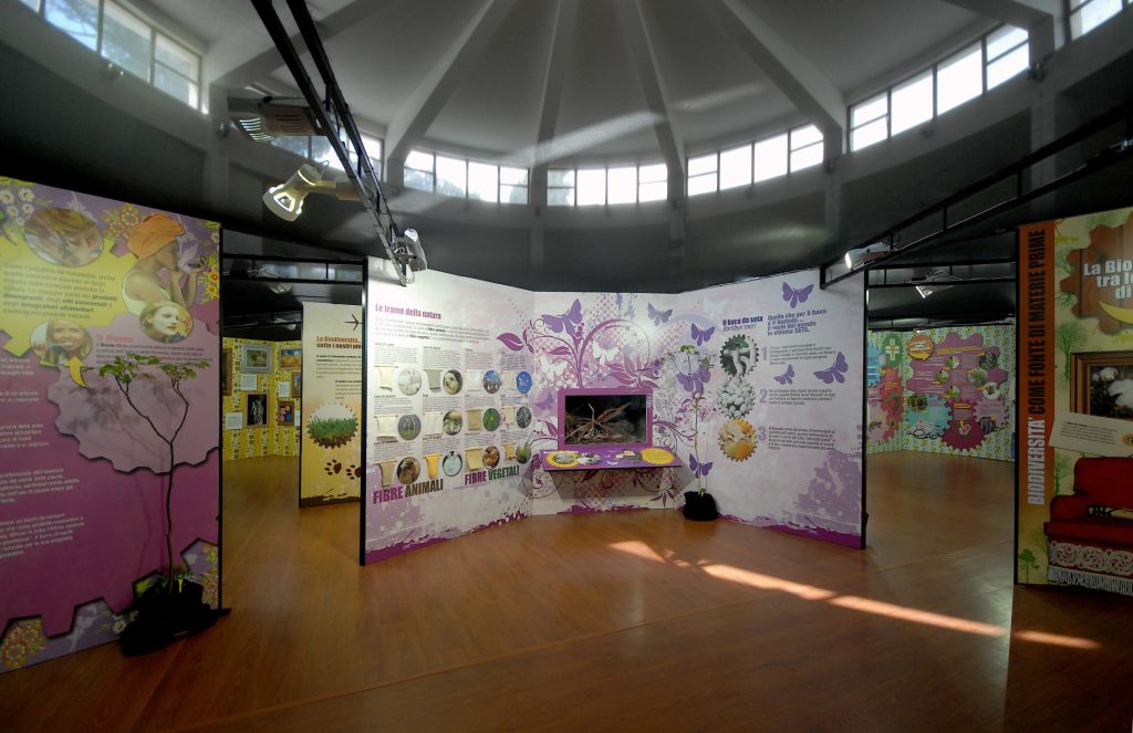 Immagine dsc 3190%20alb%20SALUTE