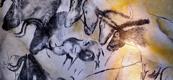 Etologic horse study Chauvet cave