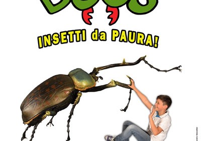 Bugs2