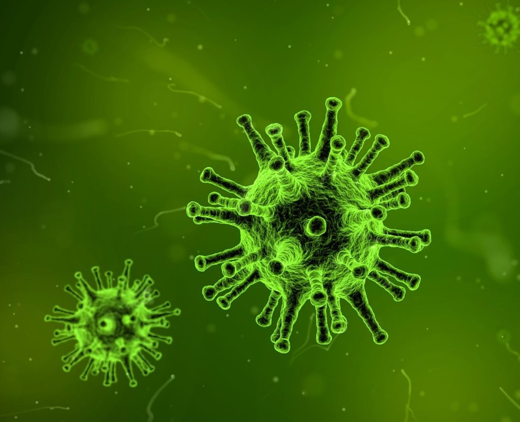 virus licenza CC0 public domain
