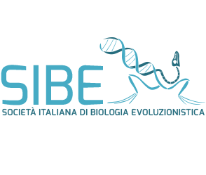 sibe logo 1