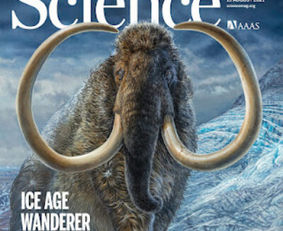 In viaggio con un mammut