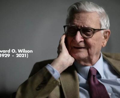 Ci ha lasciato E. O. Wilson, mirmecologo, naturalista, divulgatore e peso massimo della biologia evoluzionistica