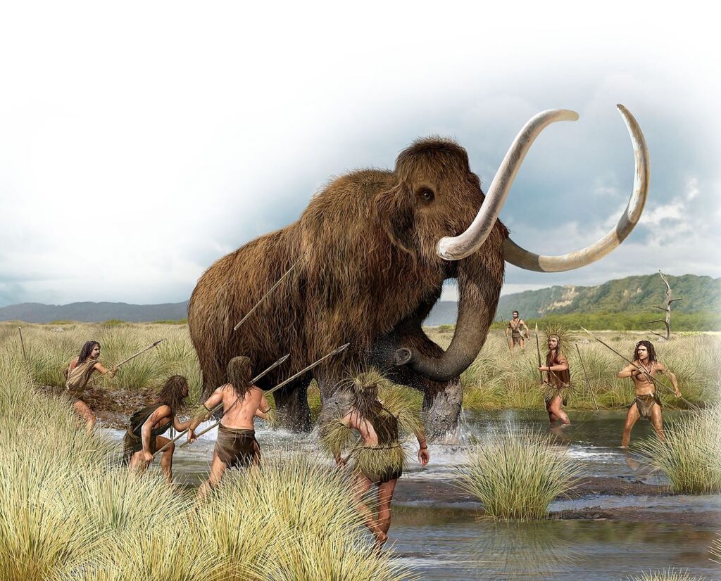 Pikaia – Estinzione dei mammut: colpa degli esseri umani?