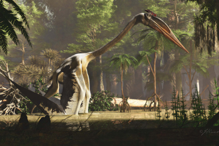 pterosauro Quetzalcoatlus