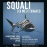 Al Museo Darwin-Dohrn di Napoli inaugurata la mostra temporanea “Squali del Mediterraneo”