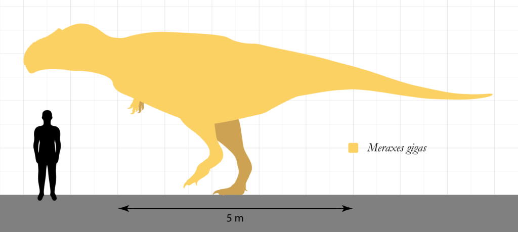 Che testoni, questi teropodi! Ecco perché (forse) i dinosauri come il T ...