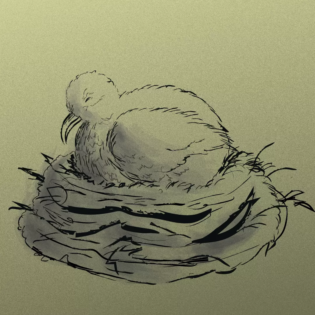 illustrazione uccelli uccello che cova, di Luca Amato
