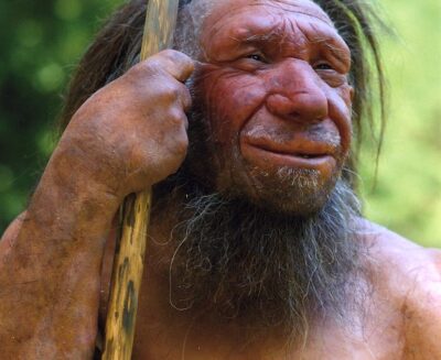 Siamo nati per innovare? Le differenze cognitive tra Sapiens e Neanderthal