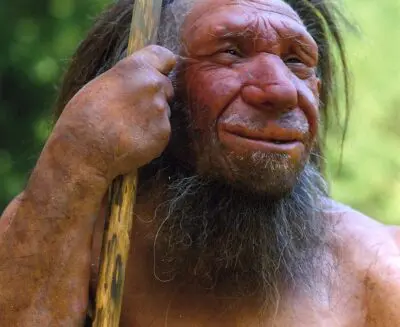 Crescita muscolare e geni neandertaliani: scoperta una variante del recettore dell’ormone della crescita ancora funzionale nel nostro genoma