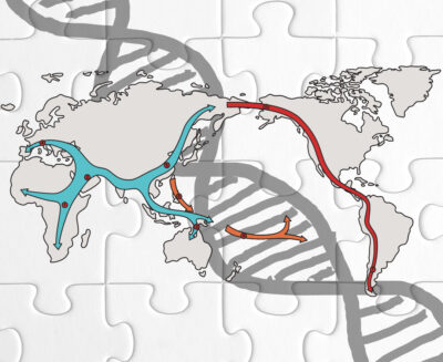 L’attualità del DNA antico: intervista alla prof.ssa Silvia Ghirotto
