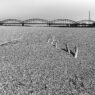 Al Muse la mostra “Deserto Italia”, un racconto fotografica dell’Italia nella morsa del cambio climatico