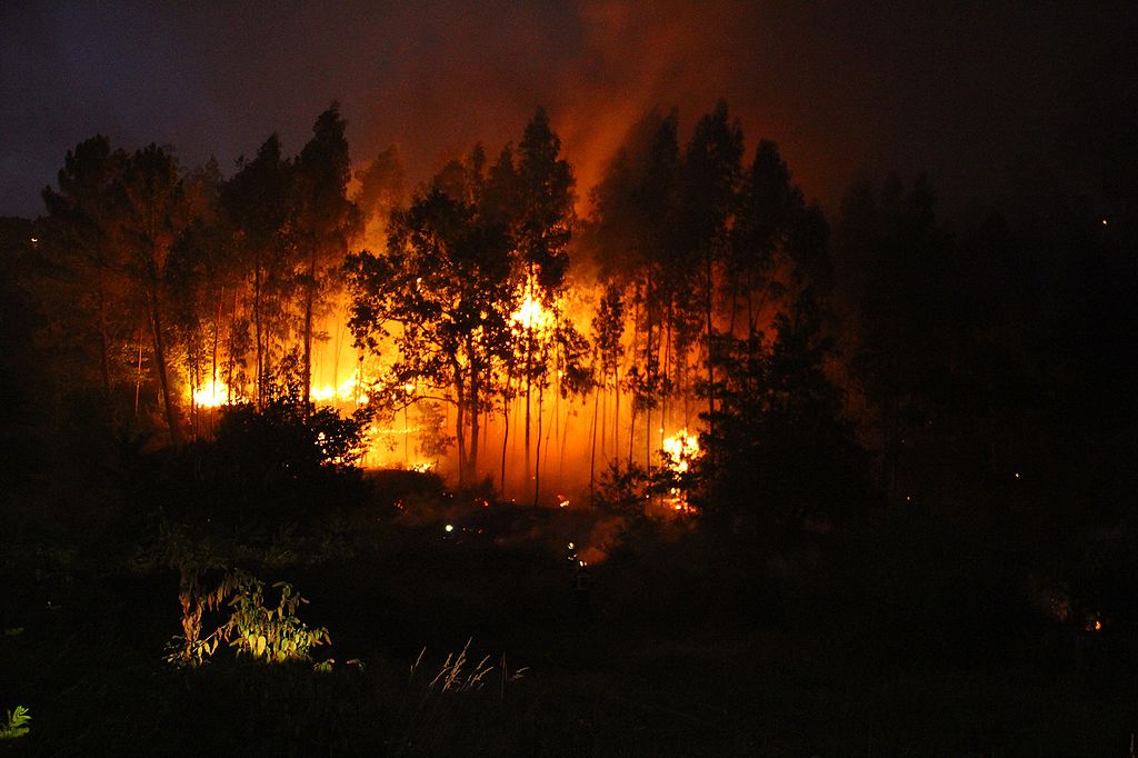 Incendio forestal en Puente Sampayo 28826967121