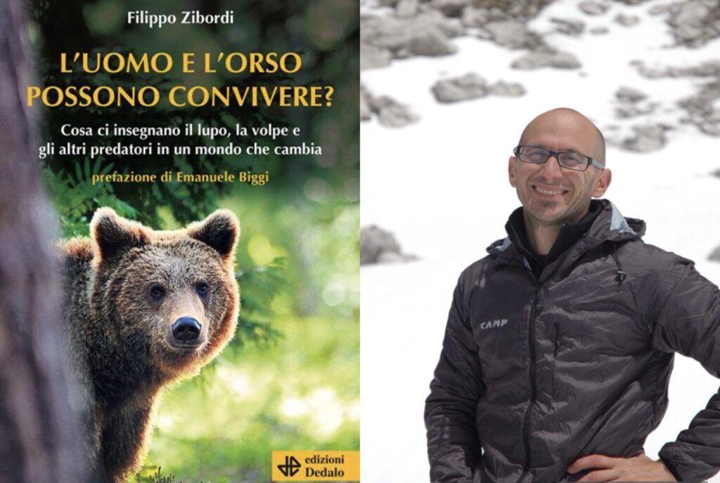 L'uomo e l'orso possono convivere zibordi