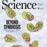 Un nuovo organello azotofissatore nelle alghe marine si è evoluto da un batterio per endosimbiosi