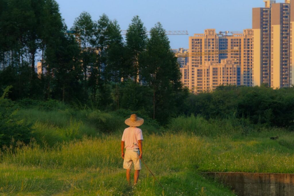 man standing in forest with city buildings behind