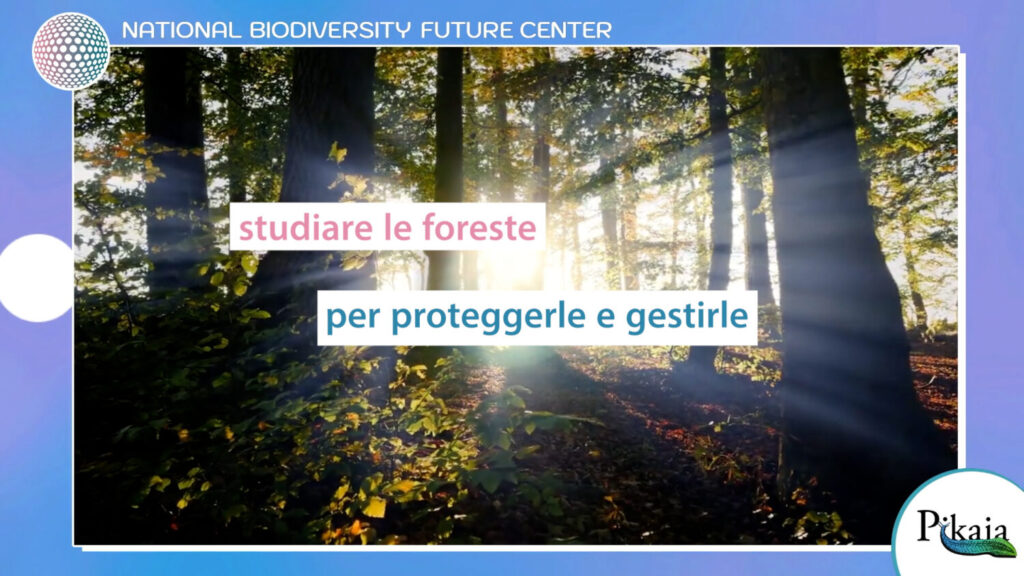 NBF Intervista 03 v2 1.00 04 07 20.Immagine001