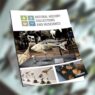 Nasce “Natural History Collections and Museomics”, una nuova risorsa per valorizzare le collezioni naturalistiche museali 