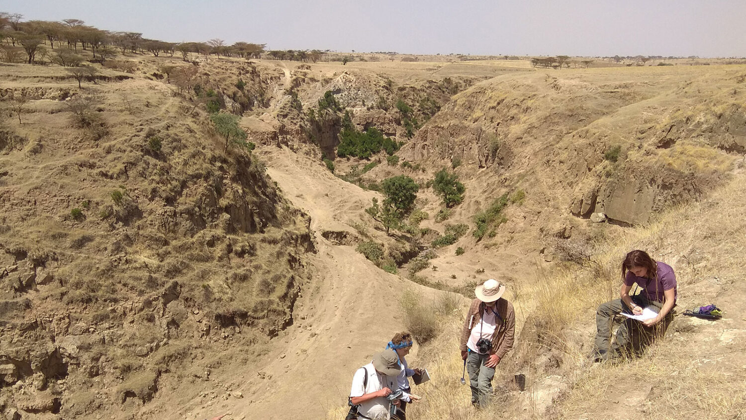 Analisi della stratigrafia vulcanica della Rift Valley ad Asela (Etiopia).