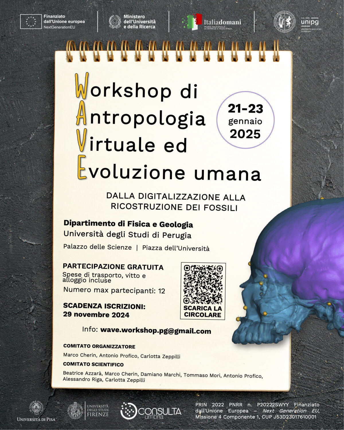 WAVE - Workshop di Antropologia Virtuale ed Evoluzione Umana