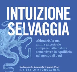 Intuizione selvaggia