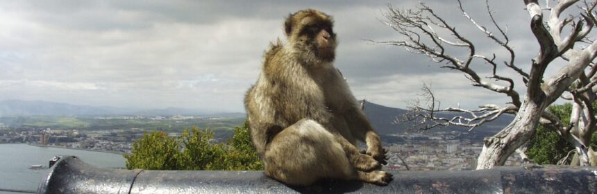 gibraltar 50121 1280