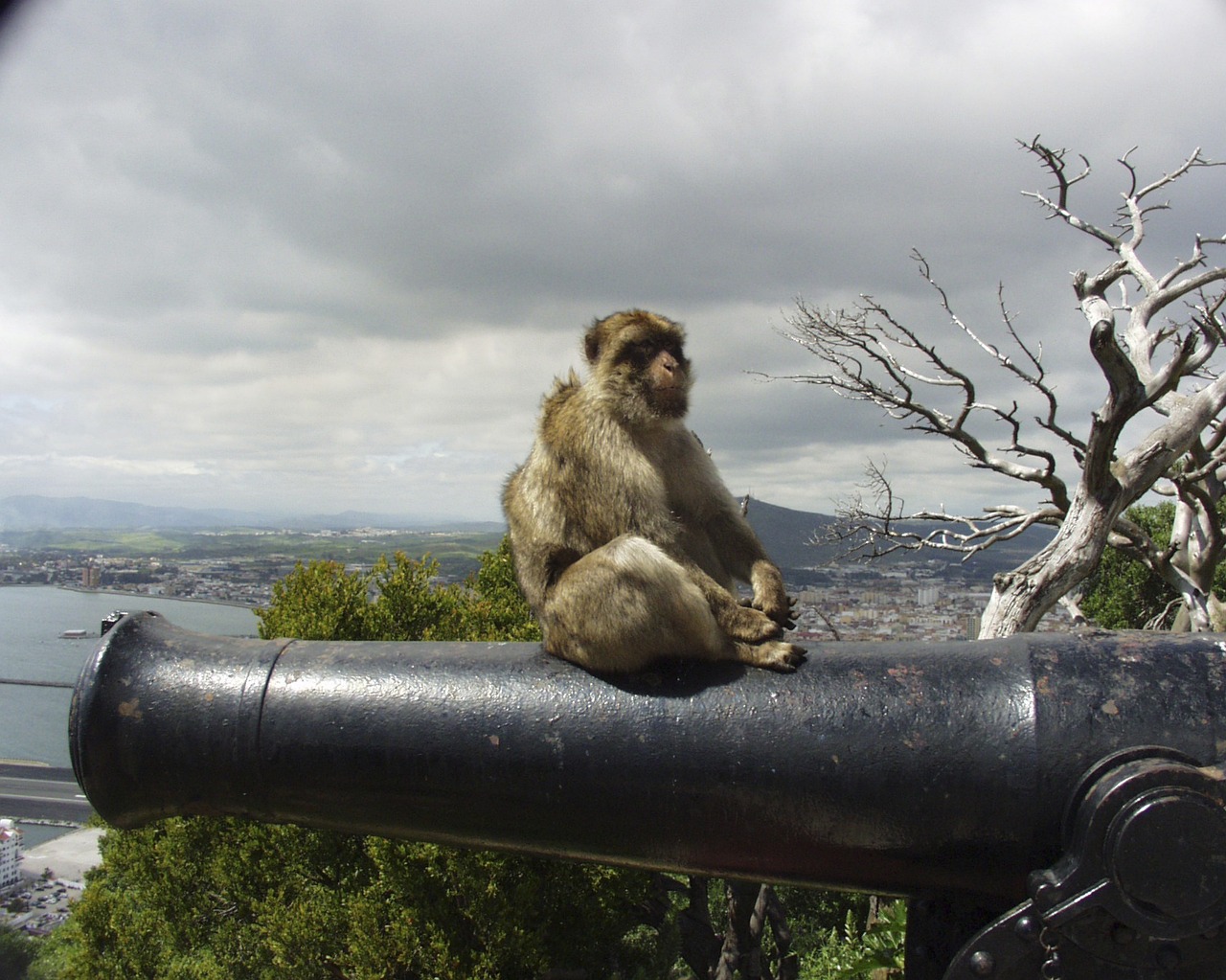 gibraltar 50121 1280