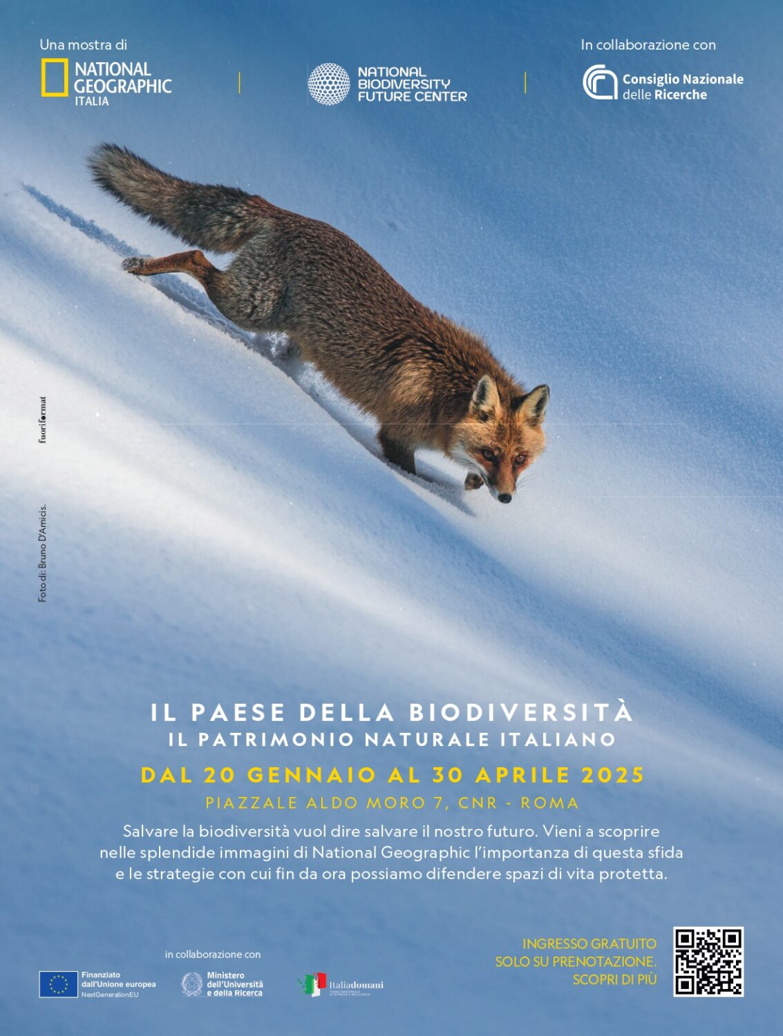 Il paese della biodiversità