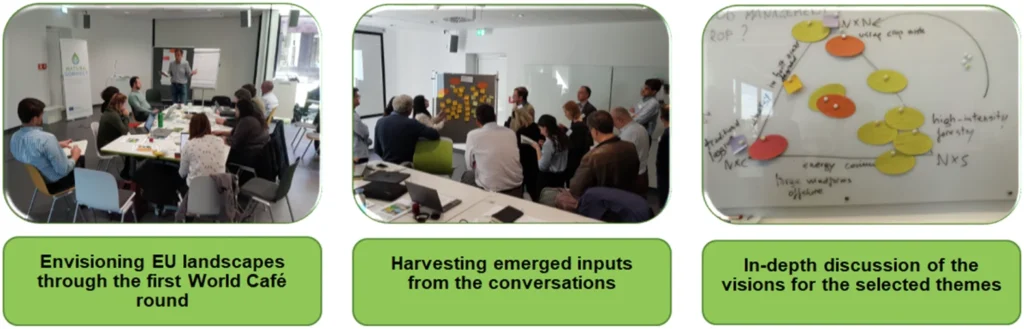 Il futuro della conservazione della natura in Europa: nuove idee per proteggere il nostro ambiente 5 From: Narratives for Positive Nature Futures in Europe
