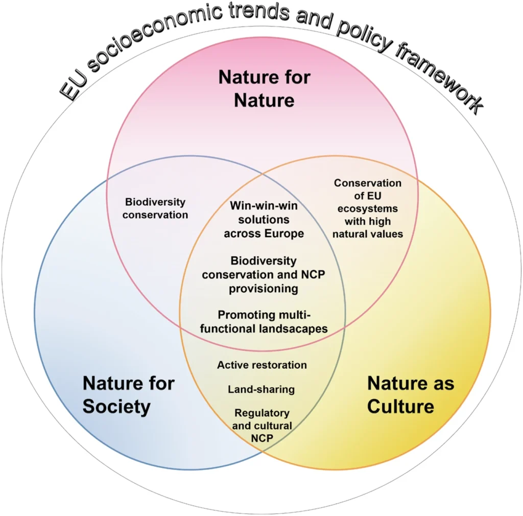 Il futuro della conservazione della natura in Europa: nuove idee per proteggere il nostro ambiente 3 267 2025 2123 Fig4 HTML