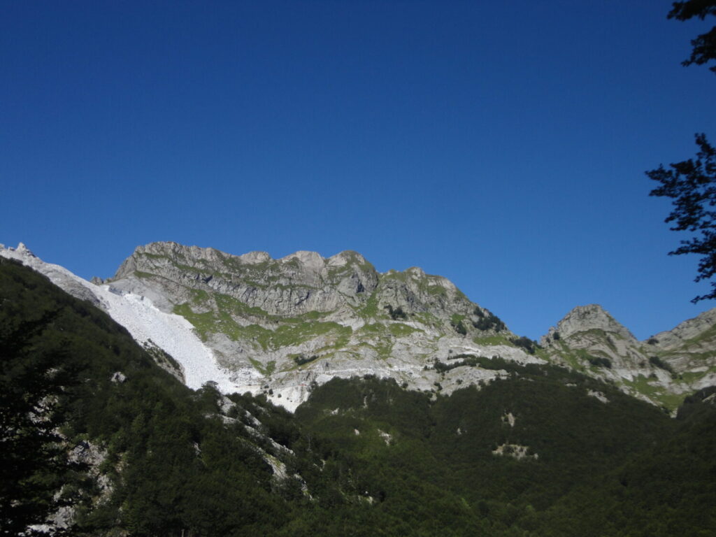 Nuovo censimento flora Alpi apuane: segnalate 3 nuove specie per la Toscana e 141 a rischio estinzione 52 Monte Cavallo da Carcaraia