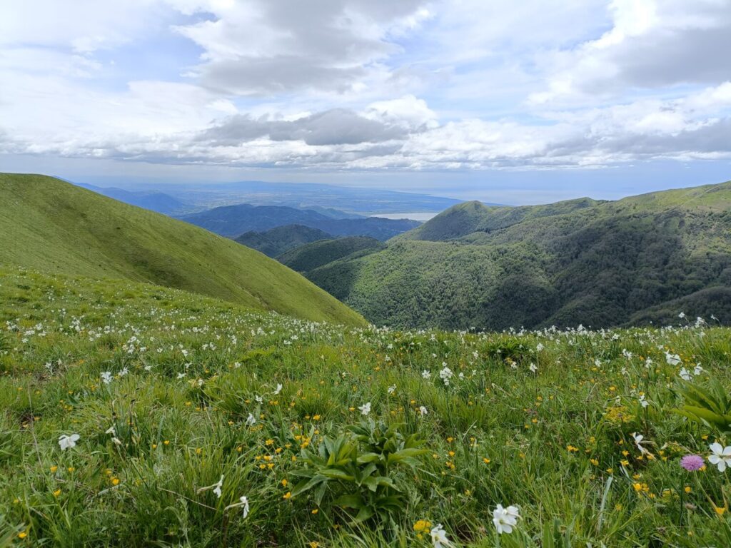 Nuovo censimento flora Alpi apuane: segnalate 3 nuove specie per la Toscana e 141 a rischio estinzione 53 Monte Piglione e Lago di Massaciuccoli