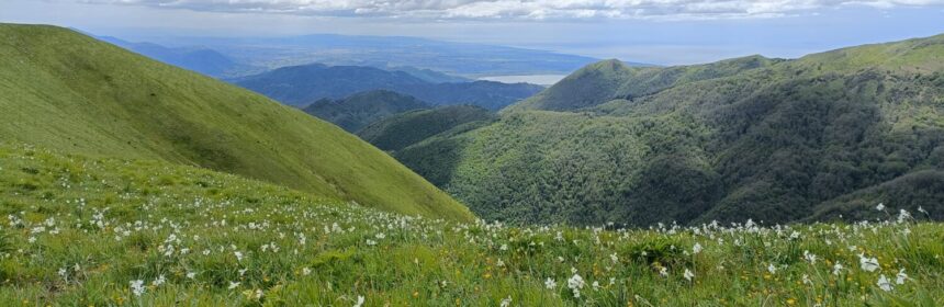 Monte Piglione e Lago di Massaciuccoli