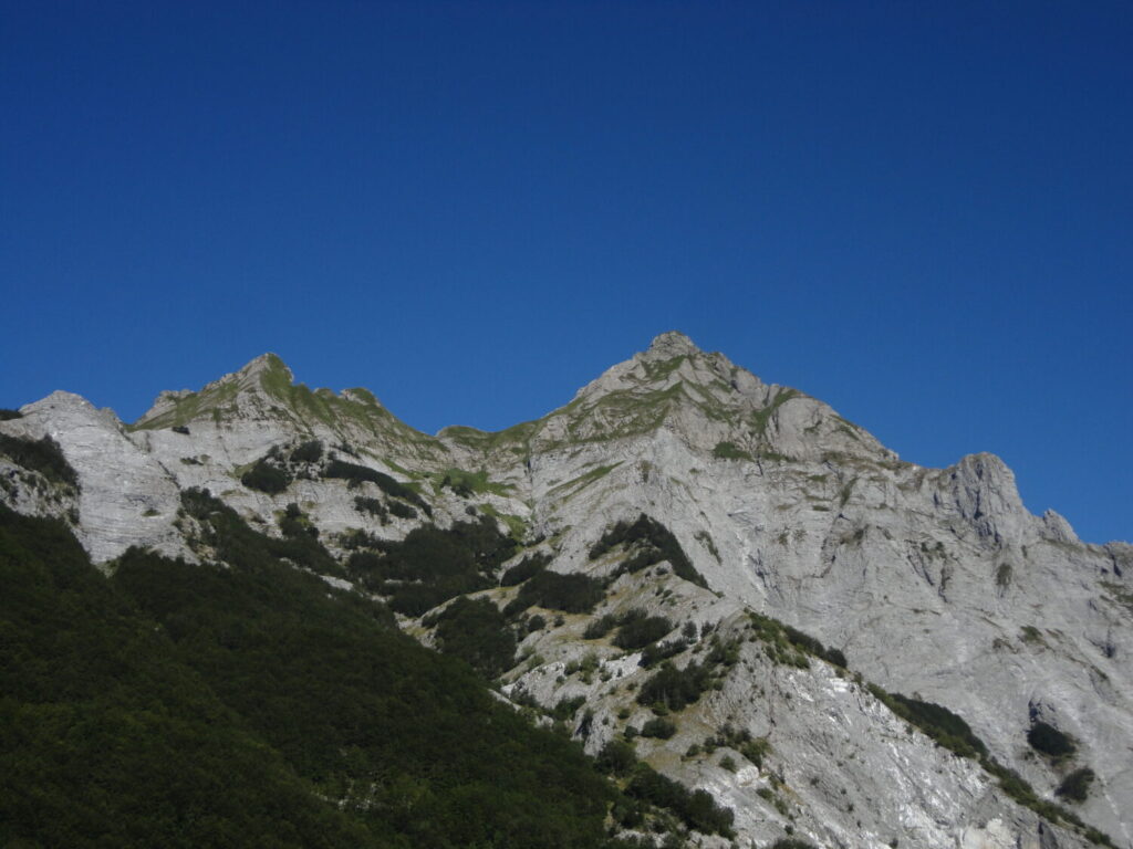Nuovo censimento flora Alpi apuane: segnalate 3 nuove specie per la Toscana e 141 a rischio estinzione 42 Monte Pisanino da Carcaraia 1