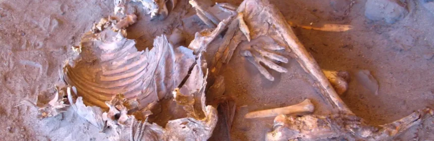 7,000-year-old natural mummy found at the Takarkori rock shelter (Individual H1) in Southern Libya. © Archaeological Mission in the Sahara, Sapienza University of Rome