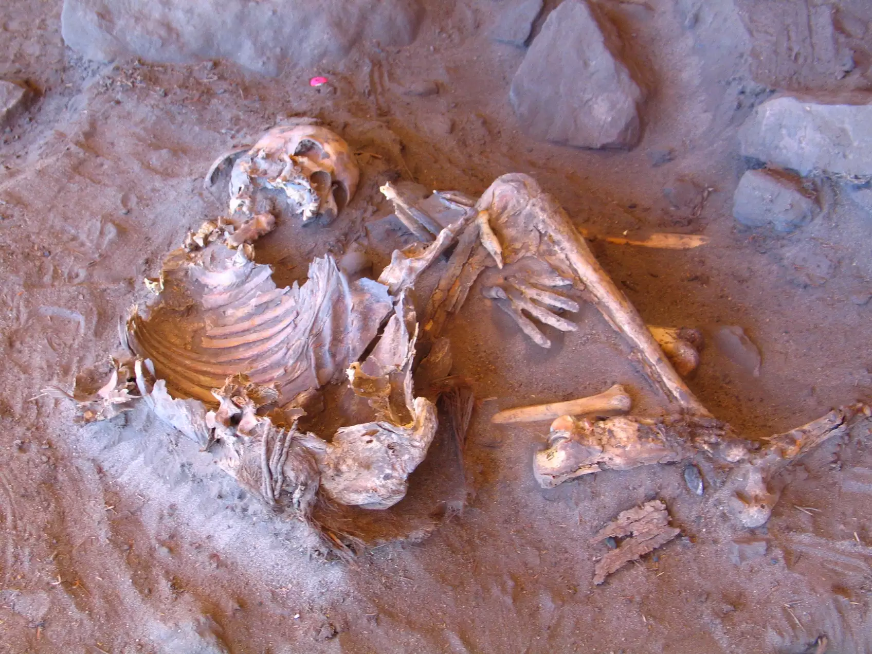 7,000-year-old natural mummy found at the Takarkori rock shelter (Individual H1) in Southern Libya. © Archaeological Mission in the Sahara, Sapienza University of Rome