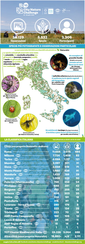 Infografica Italia CNC 2025