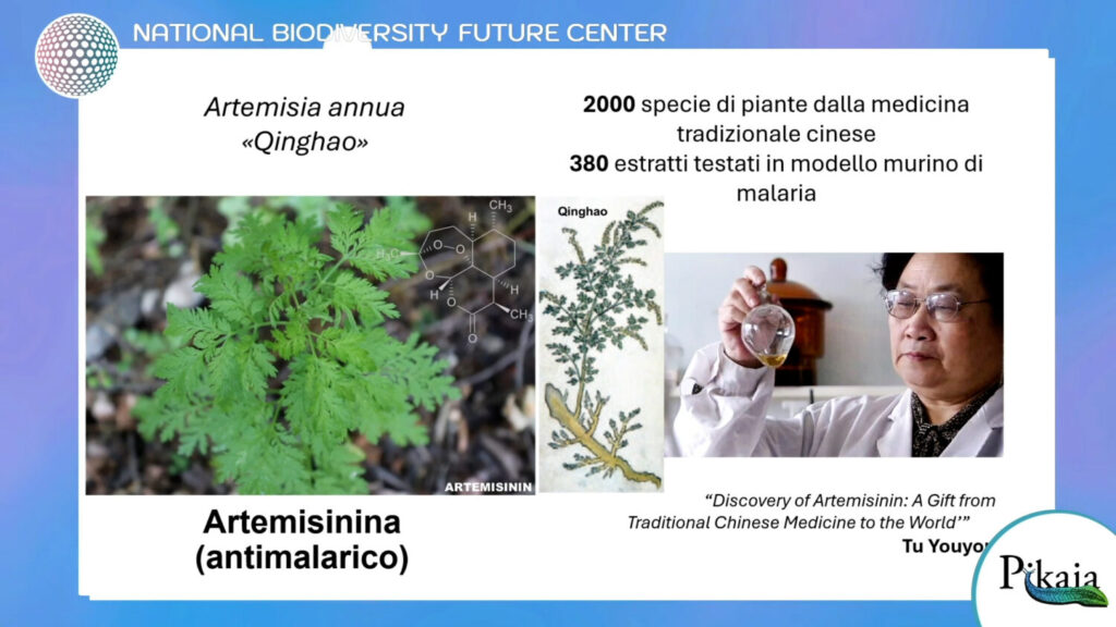 La biodiversità al centro | ep. 7 | La biodiversità ci cura 3 Sequenza 01.00 03 42 04.Immagine006