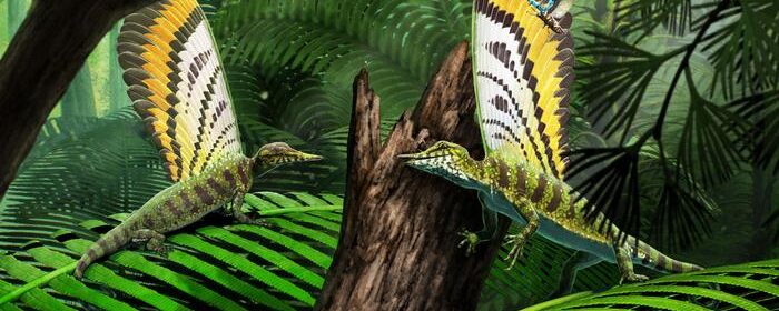 Mirasaura_Gabriel Ugueto