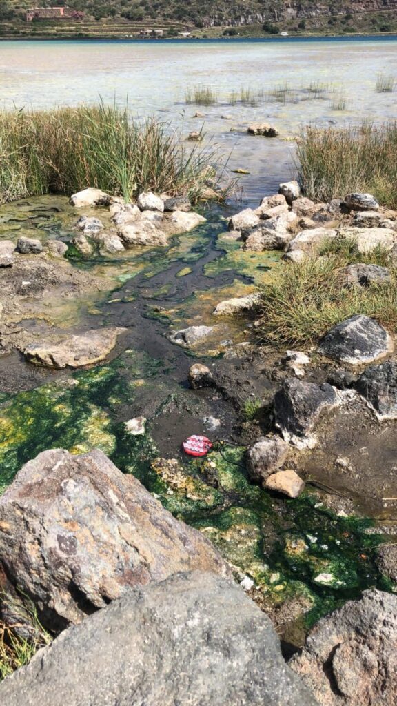 campioni in incubazione nella sorgente termale