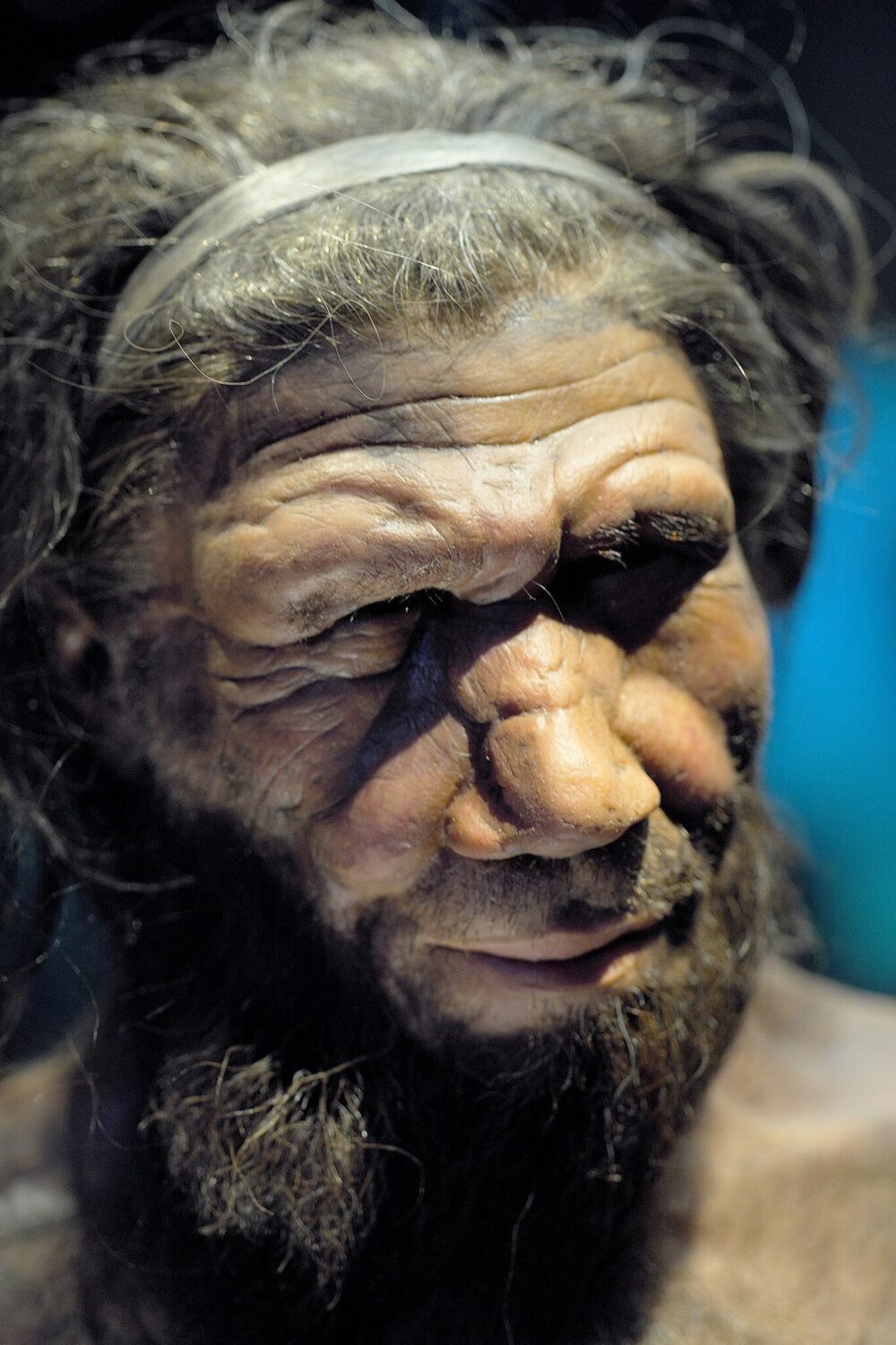 Neanderthal man reconstruction Natural History Museum London