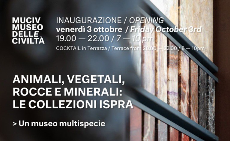 cdd6ee2c b590 4854 a0fc de28d334d763