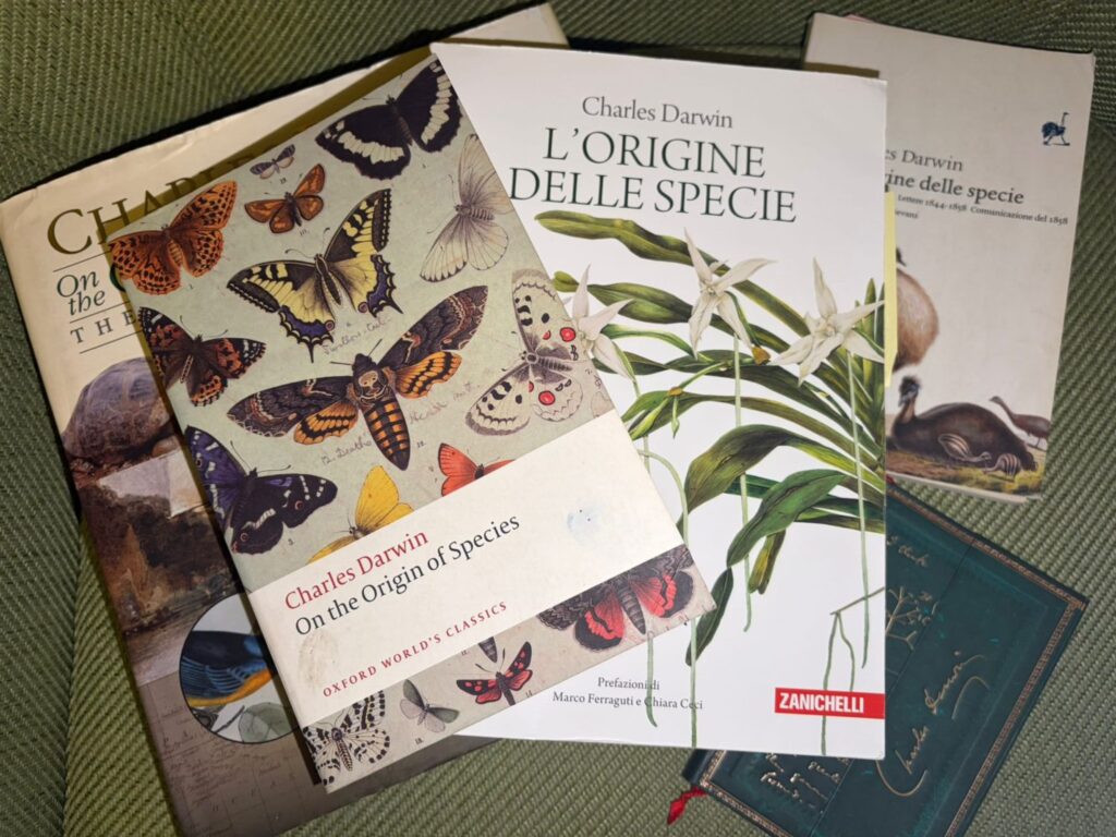 WhatsApp Image 2025 11 23 at 19.03.26 e1763921088885