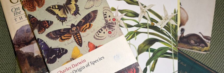 WhatsApp Image 2025 11 23 at 19.03.26 e1763921088885