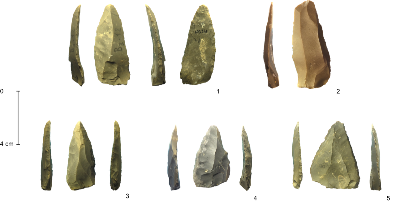 In Toscana le tracce degli ultimi Neanderthal 3 word image 78196 1