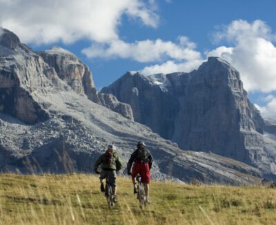Trentino: l’orso non è il colpevole della crisi dell’accoglienza turistica. Ecco cosa dicono davvero i dati