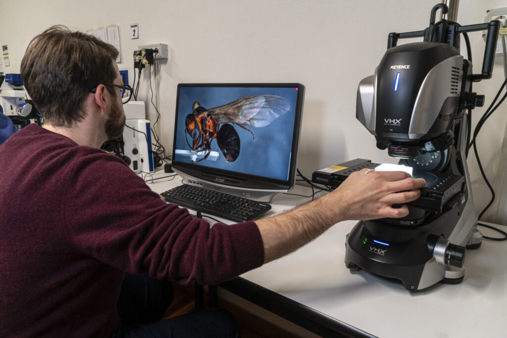 Ritorno al futuro: da una strampalata ricerca degli anni Cinquanta alla biodiversity genomics delle formiche dei boschi 5 Paragrafo 4